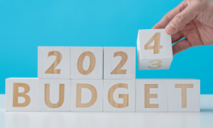 بجٹ 2025-2024: حکومت کا امیروں کے لیے ٹیکس استثنٰی واپس لینے کی تجویز پر غور