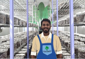 Cultivating the Clean Green Mushroom