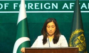 Kabul to cooperate in Bisham attack probe: FO