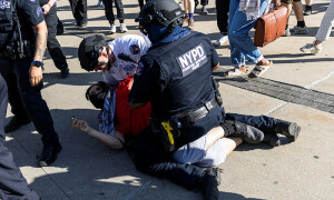 Pro-Palestinian protesters occupy parts of Brooklyn Museum