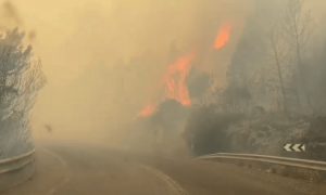 Forest fires blaze in north Israel after rockets launched from Lebanon