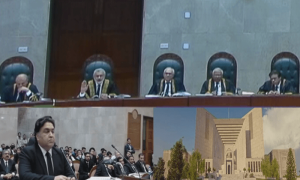 ECP&rsquo;s &lsquo;series of errors forced&rsquo; PTI-backed candidates to contest polls as independents: Justice Akhtar
