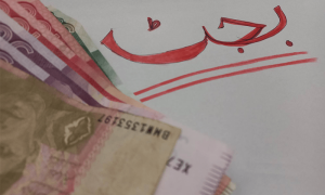 مالی سال 24-2023 میں پاور ڈویژن، دفاع اور انتخابی اخراجات مختص کردہ رقم سے تجاویز کرگئے