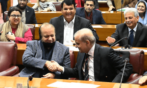 تنہائی کی شکار مسلم لیگ (ن) کو اپنے ہی ارکان اسمبلی کی تنقید کا سامنا