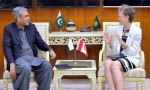 Steps being taken to stop illegal border crossings: interior minister