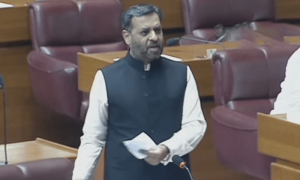 مصطفیٰ کمال کا ملک میں معاشی ایمرجنسی نافذ کرنے کا مطالبہ