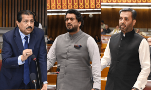 Tax-laden budget finds no takers in NA