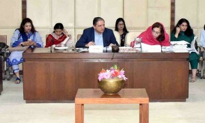 Senate panel terms budget against national interests