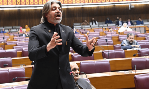 قومی اسمبلی اجلاس: &rsquo;ملک میں کتنی بے نظیر، کتنے لیاقت، کتنے بھٹو قربان کریں گے&lsquo;