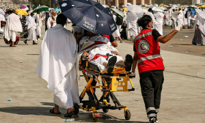 Deaths during Haj pilgrimage reach 1,301