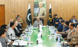President Zardari suggests rehabilitating Sindh outlaws who lay down arms