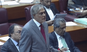 سینیٹ کی قابل عمل سفارشات کو ہمیشہ بجٹ میں شامل کیا جاتا ہے، اسحٰق ڈار