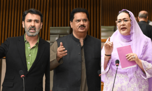 PM Shehbaz has lost popular support, PPP MNAs claim
