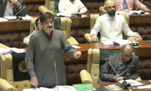 Sindh Assembly passes Rs3.056tr budget amid opposition protest