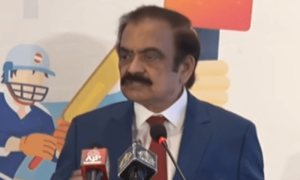 سیاسی جماعتیں ہی ملک کو آگے لے جاسکتی ہیں، رانا ثنا اللہ