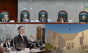 &lsquo;Doctrine of necessity&rsquo; echoes in Courtroom No 1, again