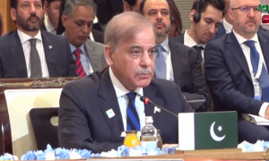 PM Shehbaz urges SCO to denounce Israel&rsquo;s &lsquo;unabated bombing&rsquo; of Gaza