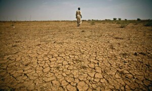 حکومت پنجاب کا صوبے کی پہلی کلائمیٹ چینج پالیسی کی منظوری کا فیصلہ