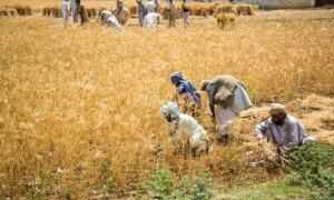 Provinces agree to align agri tax system with centre