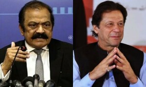 تحریک انصاف کو وہ ریلیف دیا گیا جو انہوں نے مانگا ہی نہیں، رانا ثنا اللہ