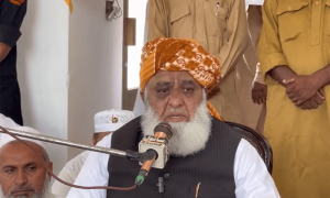 سپریم کورٹ کے فیصلے کو جزوی تسلیم کرتے ہیں، مولانا فضل الرحمٰن
