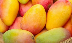 خوش ذائقہ سینسیشن آم کی دنیا بھر میں مانگ اور پاکستان میں اس کی کاشت
