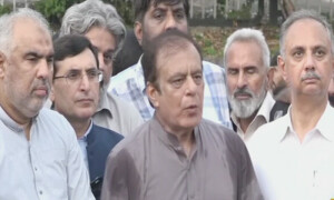 PTI holds 3-hour &lsquo;symbolic hunger strike&rsquo; outside Parliament House against &lsquo;injustice, unfairness&rsquo;