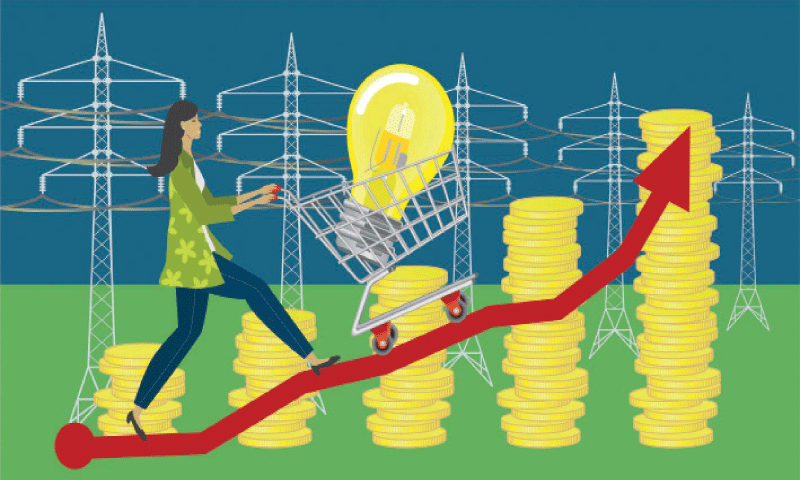 Nepra hikes put IPPs and capacity payments under the microscope