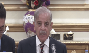 پاکستان کو ترقی پسند چھوٹا چین بنانا چاہتے ہیں، وزیر اعظم