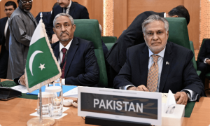 او آئی سی ممالک سیزفائر نہ ہونے پر اسرائیل پر تیل و تجارت کی پابندیاں عائد کریں، اسحٰق ڈار