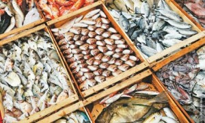 Fishing industry holds export potential worth billions if proper procedure followed: expert