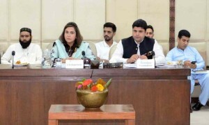 Senate body wants forensic audit of independent power producers