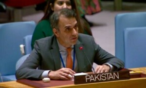 Pakistan pushes for narrowing differences over UNSC reforms