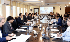 Economic Coordination Committee exempts two key projects from procurement rules