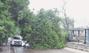 Gale-force winds batter Karachi, leave one dead in tree fall