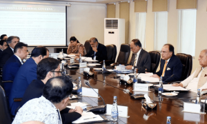 حکومت کا ریاستی ملکیت 3 اداروں کو سرکاری تحویل میں برقرار رکھنے کا فیصلہ