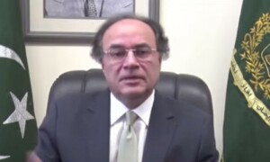 خیرات سے ملک نہیں چلتا، ہر ایک کو کردار ادا کرنا ہوگا، وزیر خزانہ