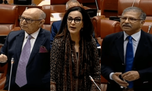 Attack on &lsquo;prestige of parliament&rsquo; unites senators