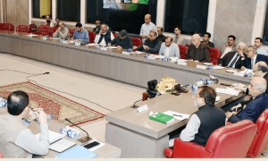 قومی اسمبلی کی خصوصی کمیٹی کا اجلاس بے نتیجہ ختم، مولانا فضل الرحمٰن کی آئینی بل پر مشاورت کی تجویز