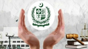 Assault on the Constitution? Legal fraternity voice reservations with &lsquo;Constitutional Package&rsquo;