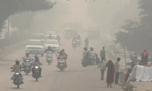 Indian govt slammed for failure to stop stubble burning