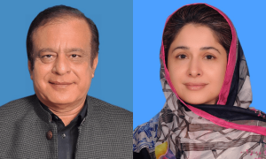 پی ٹی آئی رہنماؤں شبلی فراز، شاندانہ گلزار کی راہداری ضمانت منظور