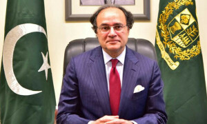 دہشتگردی کا شکار چینی انجینیئرز آئی پی پی مذاکرات میں شامل نہیں تھے، وزارت خزانہ