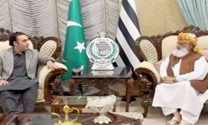 بلاول بھٹو اور مولانا فضل الرحمٰن کی ملاقات، مجوزہ آئینی ترامیم کے حوالے سے مشاورت