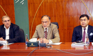 Cholistan canal plan referred to Ecnec amid Sindh&rsquo;s dissent