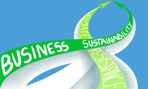 Converging Business Sustainability With Climate Resilience