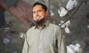 &ldquo;In over 10 years, we have lost 30 to 40% of the cultivable land for cotton to other competing crops and housing schemes&rdquo;