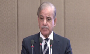 عالمی برادری نے اسرائیلی جارحیت روکنے کیلئے مؤثر کردار ادا نہیں کیا، وزیر اعظم