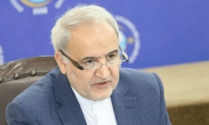 Iran&rsquo;s envoy hails Pakistanis&rsquo; concern over Mideast crisis