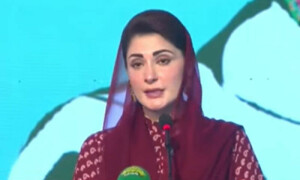 اسموگ کو ختم کرنے کیلئے ہر شخص کو کردار ادا کرنا ہوگا، وزیراعلیٰ پنجاب